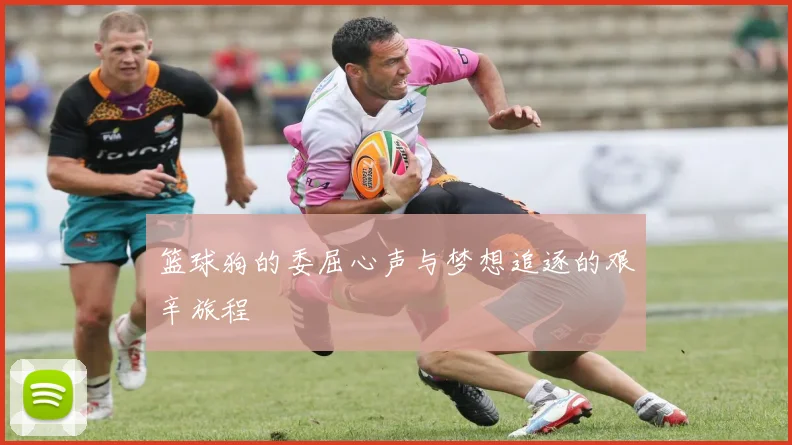 篮球狗的委屈心声与梦想追逐的艰辛旅程