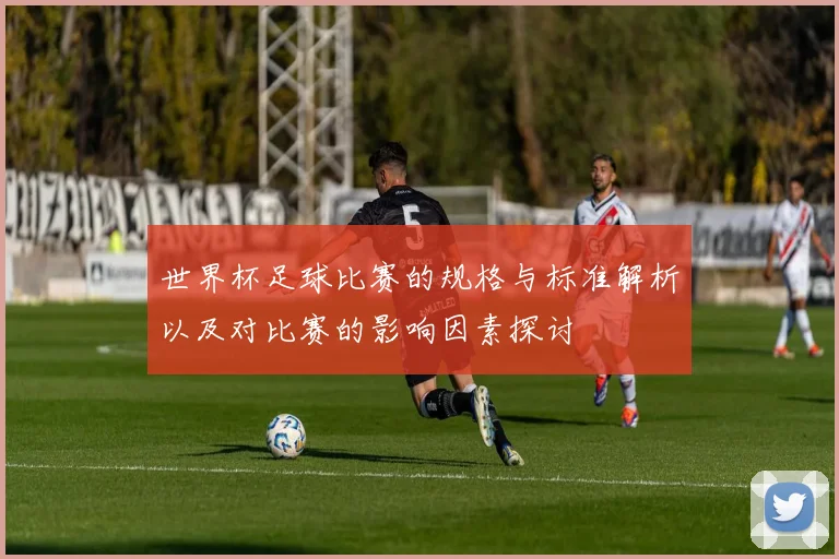世界杯足球比赛的规格与标准解析以及对比赛的影响因素探讨