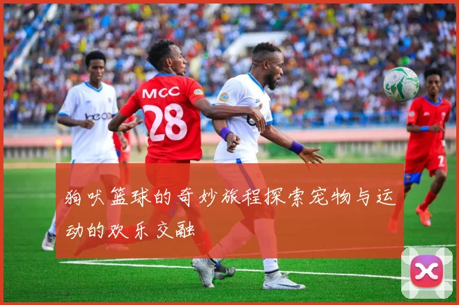 狗吠篮球的奇妙旅程探索宠物与运动的欢乐交融