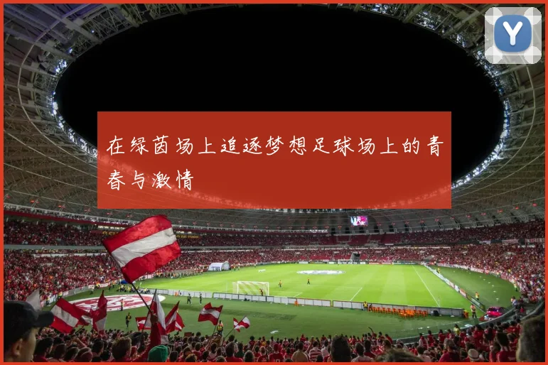 在绿茵场上追逐梦想足球场上的青春与激情