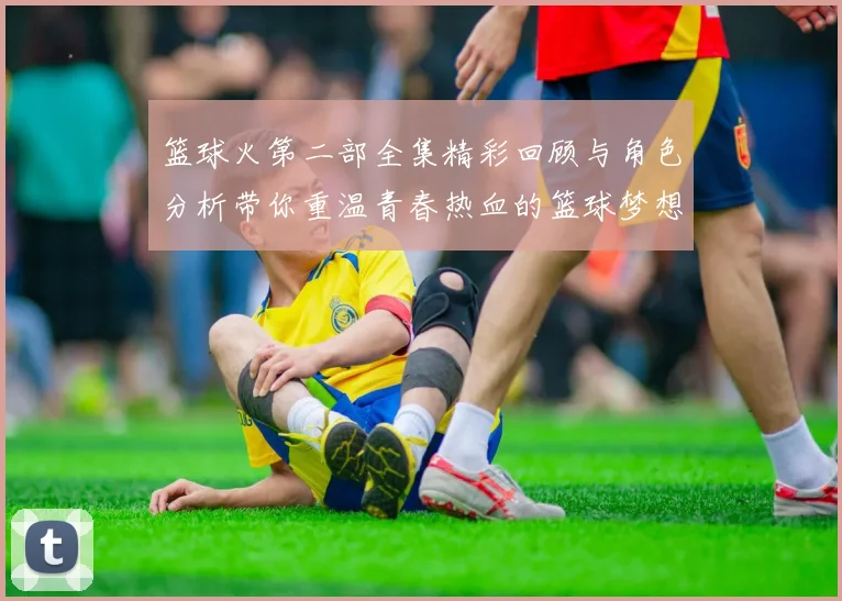 篮球火第二部全集精彩回顾与角色分析带你重温青春热血的篮球梦想