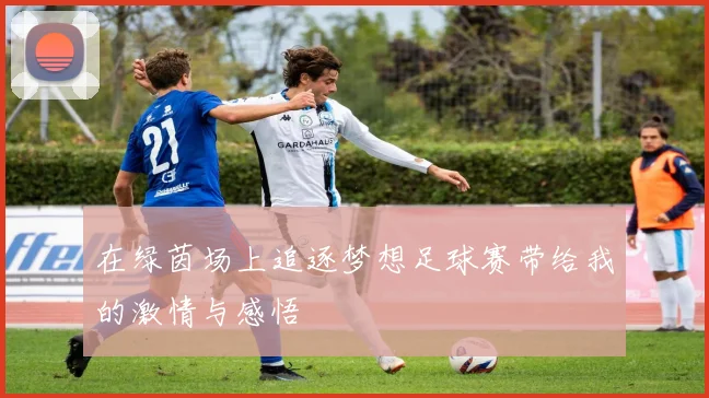 在绿茵场上追逐梦想足球赛带给我的激情与感悟