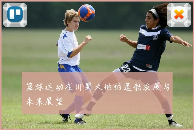 篮球运动在川蜀大地的蓬勃发展与未来展望